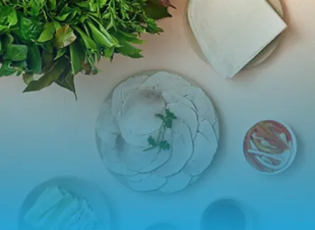 CÔNG TY TNHH LƯƠNG THỰC THỰC PHẨM TÂN PHÚ HÒA